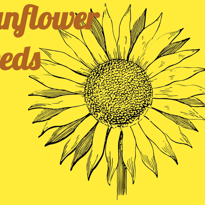 Sunflower Page Theme